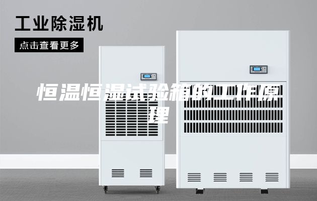 恒温恒湿试验箱的工作原理