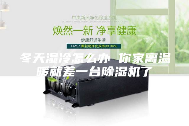 冬天湿冷怎么办 你家离温暖就差一台除湿机了