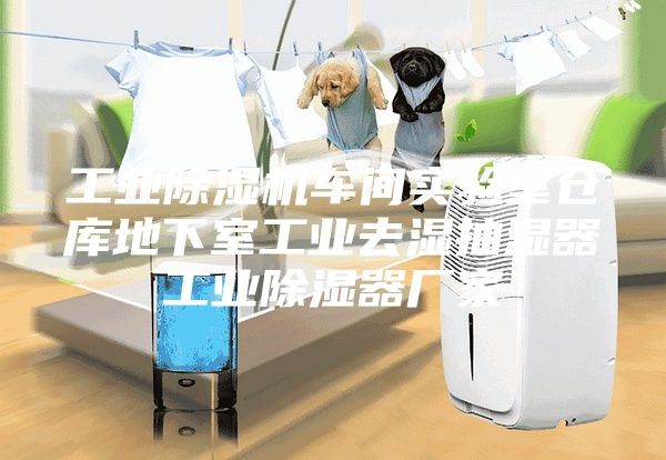 工业除湿机车间实验室仓库地下室工业去湿抽湿器工业除湿器厂家