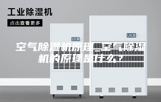 空气除湿机原理_空气除湿机的原理是什么？