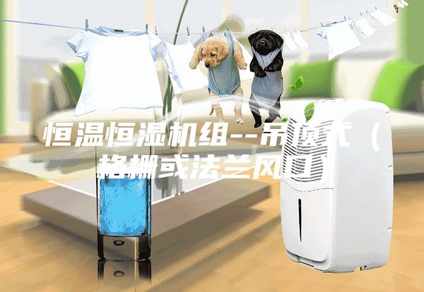 恒温恒湿机组--吊顶式（格栅或法兰风口）