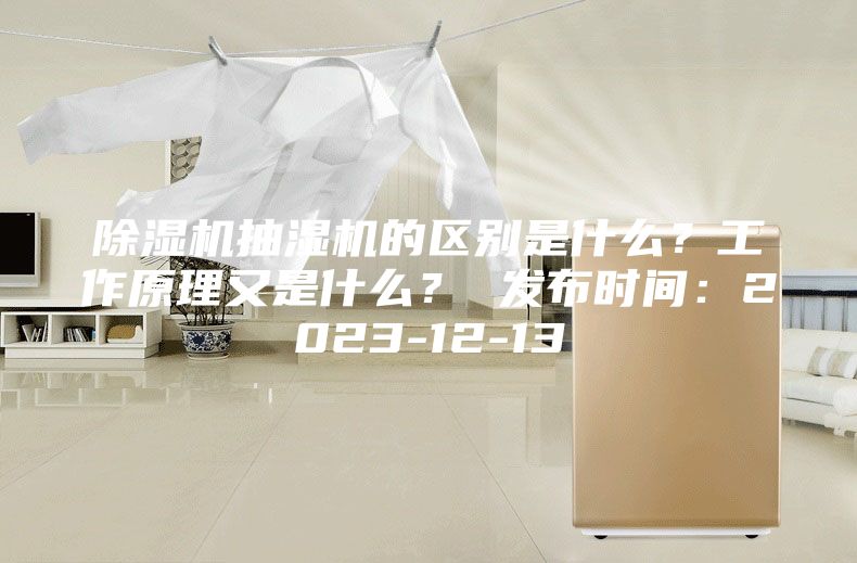 除湿机抽湿机的区别是什么？工作原理又是什么？ 发布时间：2023-12-13