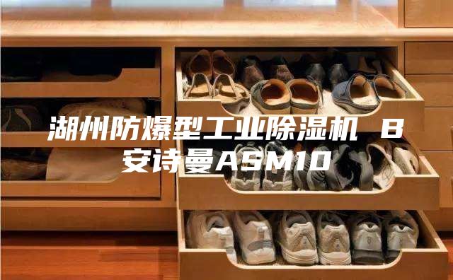 湖州防爆型工业除湿机 B安诗曼ASM10