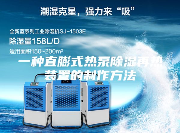 一种直膨式热泵除湿再热装置的制作方法