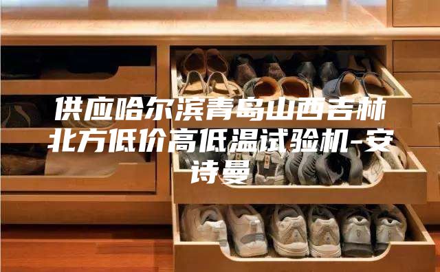 供应哈尔滨青岛山西吉林北方低价高低温试验机-安诗曼