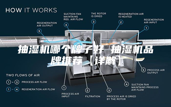 抽湿机哪个牌子好 抽湿机品牌推荐【详解】