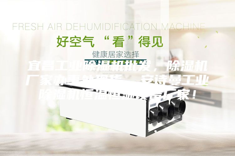 宜昌工业除湿机批发，除湿机厂家办事处现货  安诗曼工业除湿机恒温恒湿设备厂家！