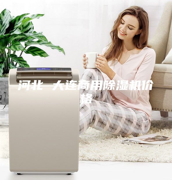 河北 大连商用除湿机价格