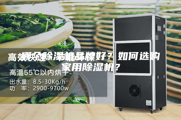 哪个除湿机品牌好？如何选购家用除湿机？