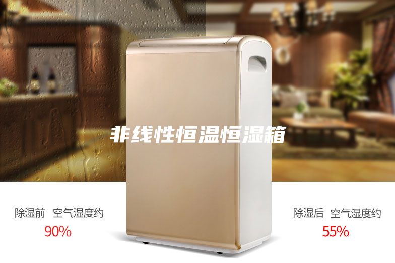 非线性恒温恒湿箱