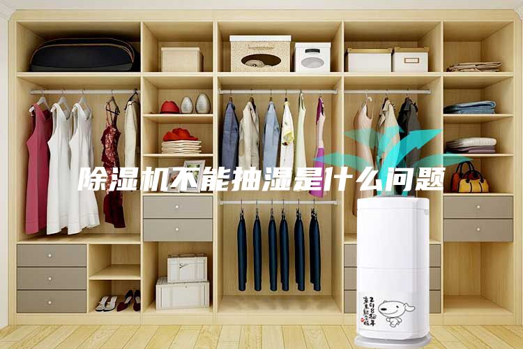除湿机不能抽湿是什么问题