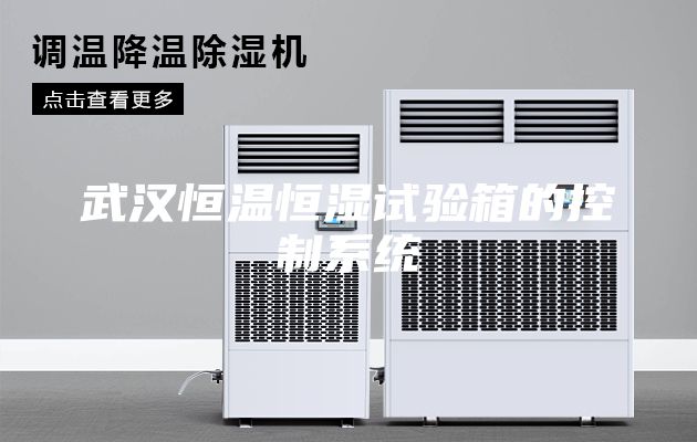 武汉恒温恒湿试验箱的控制系统