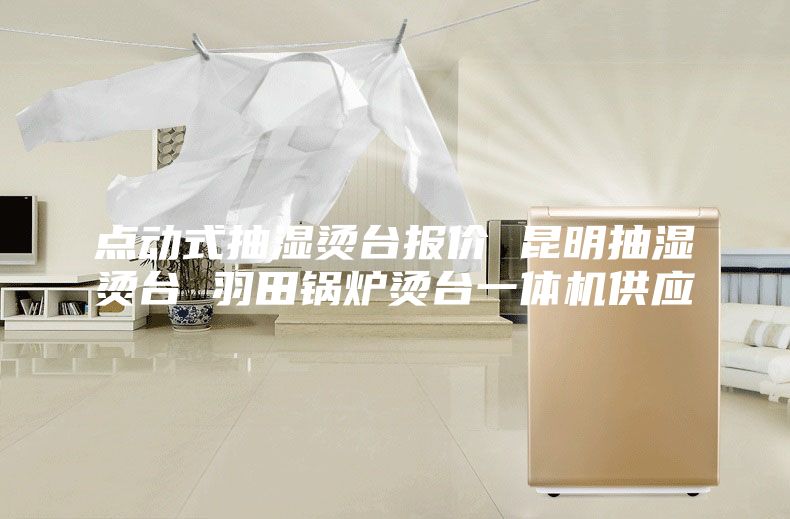 点动式抽湿烫台报价 昆明抽湿烫台 羽田锅炉烫台一体机供应