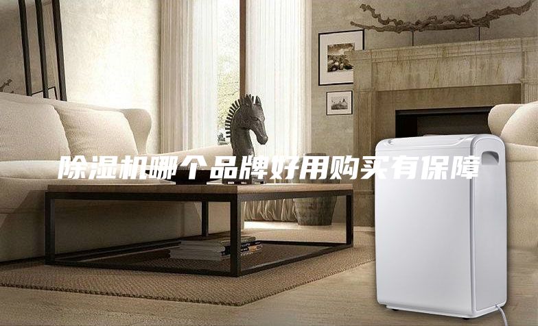 除湿机哪个品牌好用购买有保障