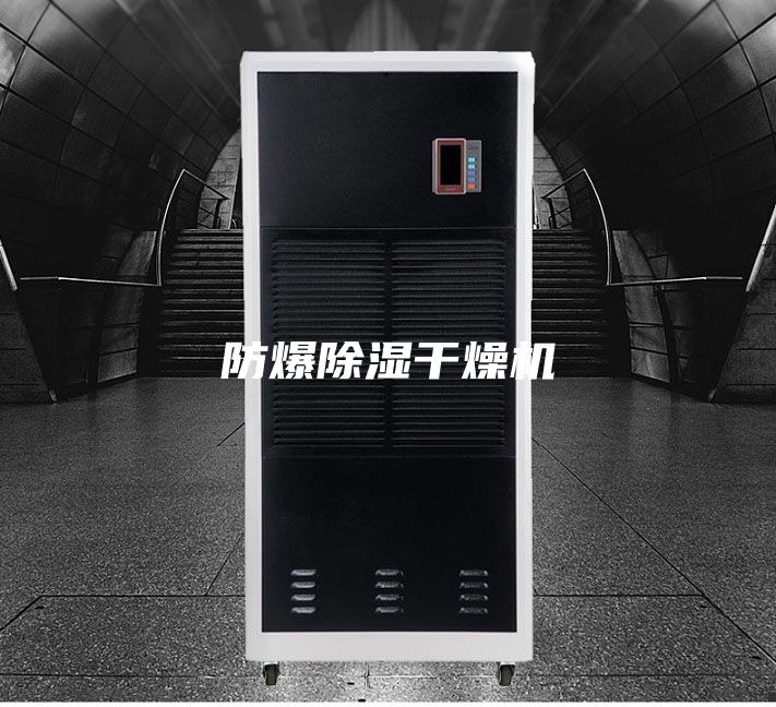 防爆除湿干燥机