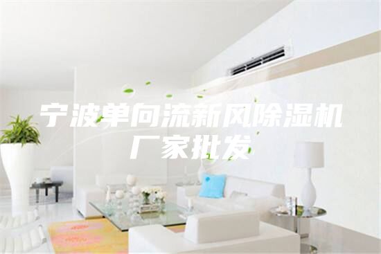 宁波单向流新风除湿机厂家批发