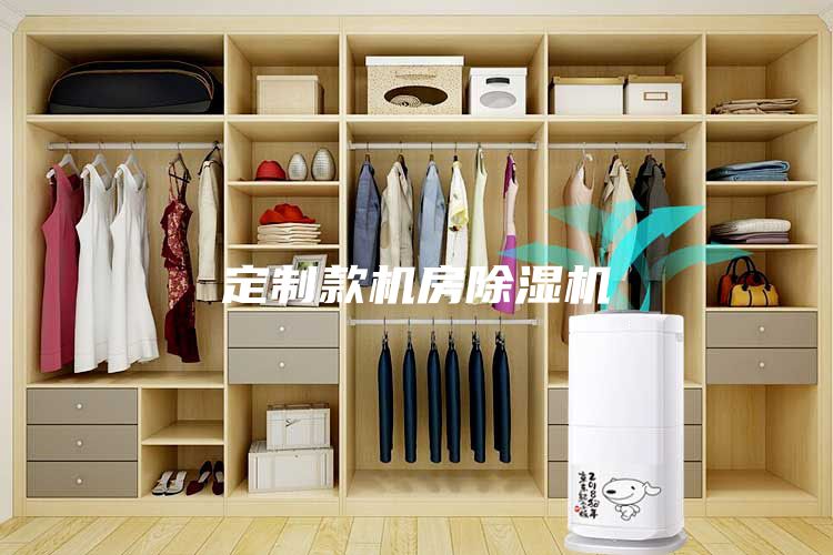 定制款机房除湿机