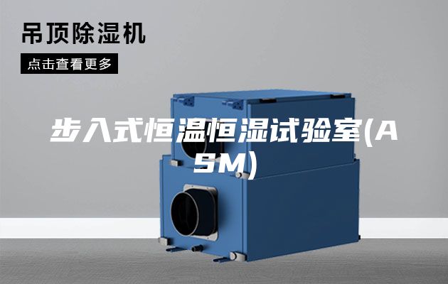 步入式恒温恒湿试验室(ASM)