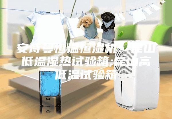 安诗曼恒温恒湿机：昆山低温湿热试验箱;昆山高低温试验箱