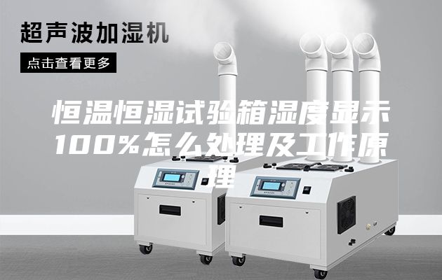 恒温恒湿试验箱湿度显示100%怎么处理及工作原理
