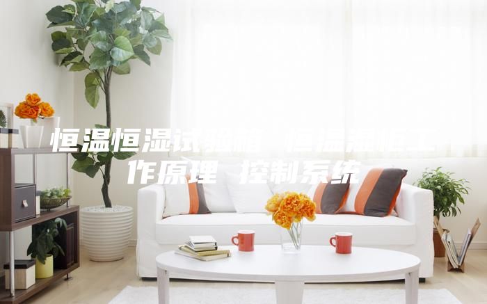 恒温恒湿试验箱 恒温湿柜工作原理 控制系统