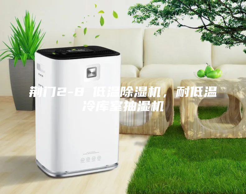 荆门2-8℃低温除湿机，耐低温冷库室抽湿机