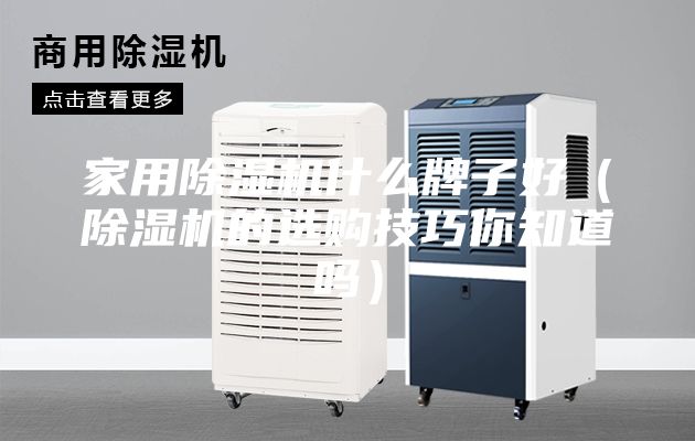 家用除湿机什么牌子好（除湿机的选购技巧你知道吗）