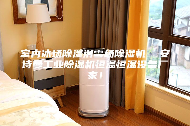 室内冰场除湿滑雪场除湿机  安诗曼工业除湿机恒温恒湿设备厂家！