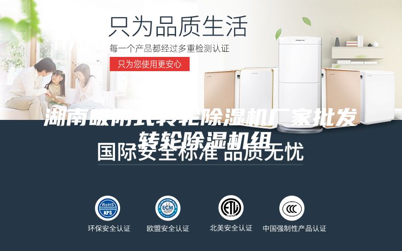 湖南吸附式转轮除湿机厂家批发,转轮除湿机组