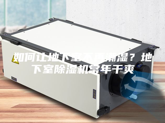 如何让地下室不再潮湿？地下室除湿机常年干爽