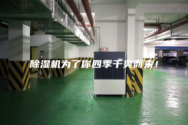 除湿机为了你四季干爽而来！