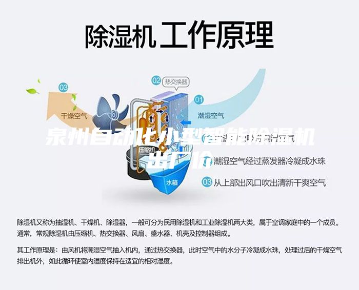 泉州自动化小型智能除湿机出厂价