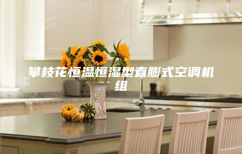 攀枝花恒温恒湿型直膨式空调机组