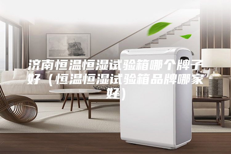 济南恒温恒湿试验箱哪个牌子好（恒温恒湿试验箱品牌哪家好）