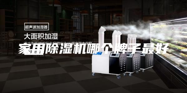 家用除湿机哪个牌子最好