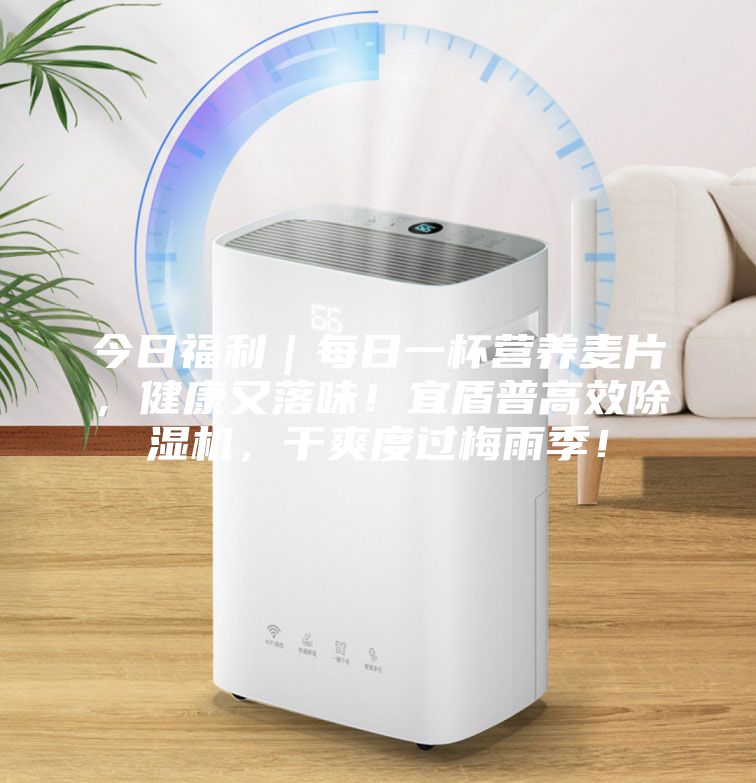 今日福利｜每日一杯营养麦片，健康又落味！宜盾普高效除湿机，干爽度过梅雨季！