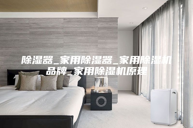 除湿器_家用除湿器_家用除湿机品牌_家用除湿机原理