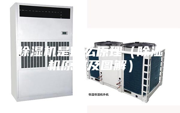除湿机是什么原理（除湿机原理及图解）