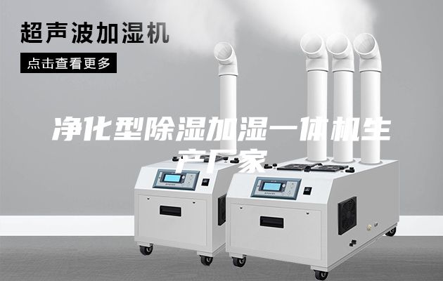 净化型除湿加湿一体机生产厂家