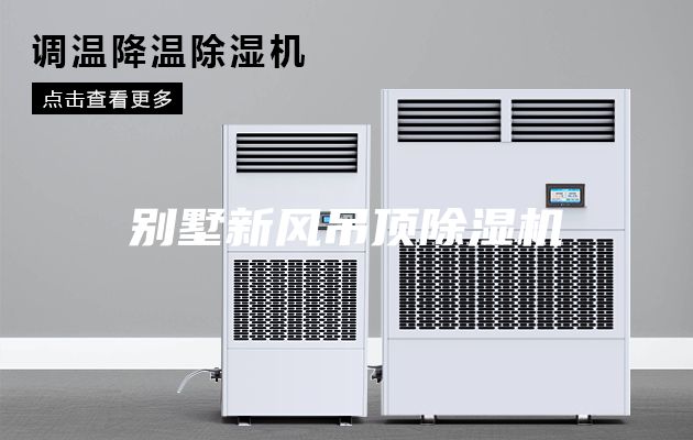 别墅新风吊顶除湿机