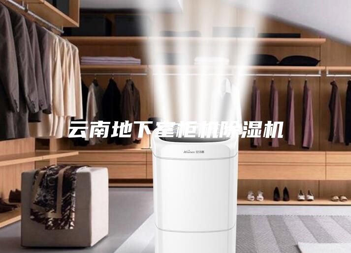 云南地下室柜机除湿机