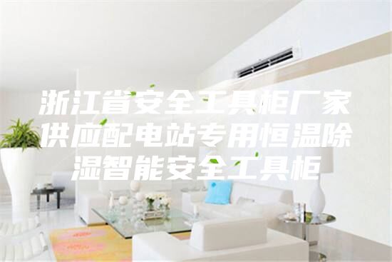 浙江省安全工具柜厂家供应配电站专用恒温除湿智能安全工具柜