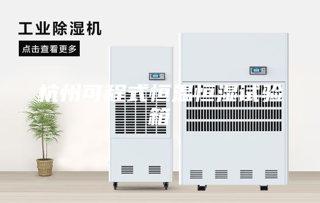 杭州可程式恒温恒湿试验箱