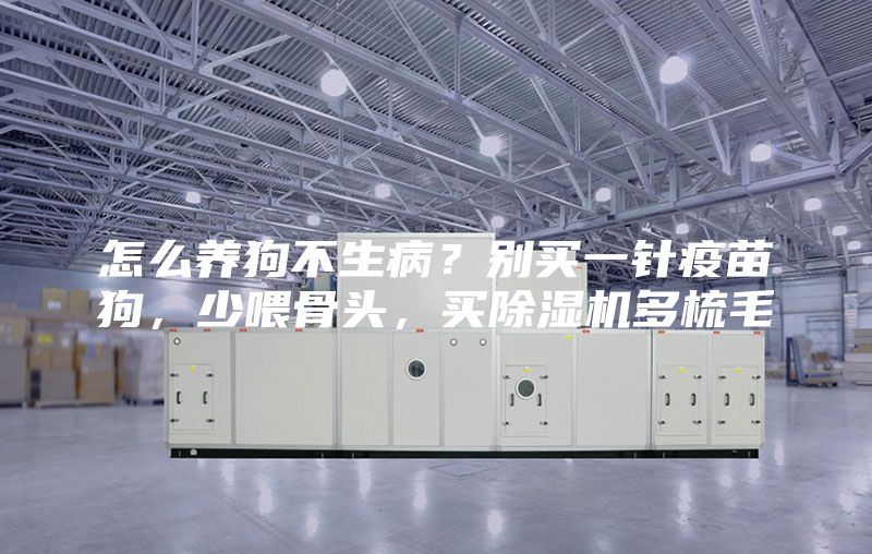 怎么养狗不生病？别买一针疫苗狗，少喂骨头，买除湿机多梳毛
