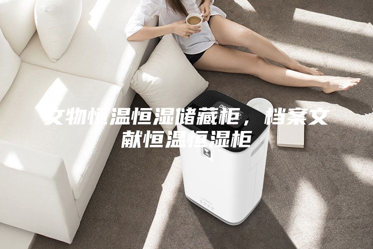文物恒温恒湿储藏柜，档案文献恒温恒湿柜