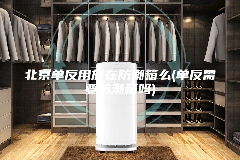 北京单反用放在防潮箱么(单反需要防潮箱吗)