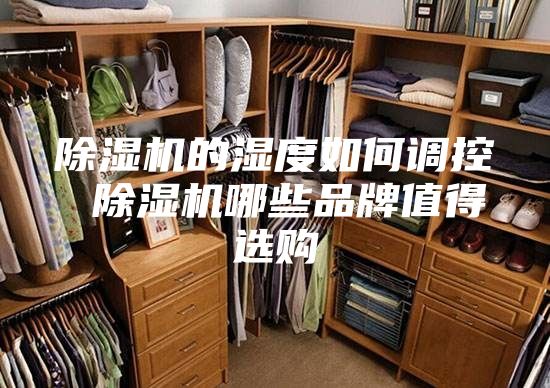除湿机的湿度如何调控 除湿机哪些品牌值得选购
