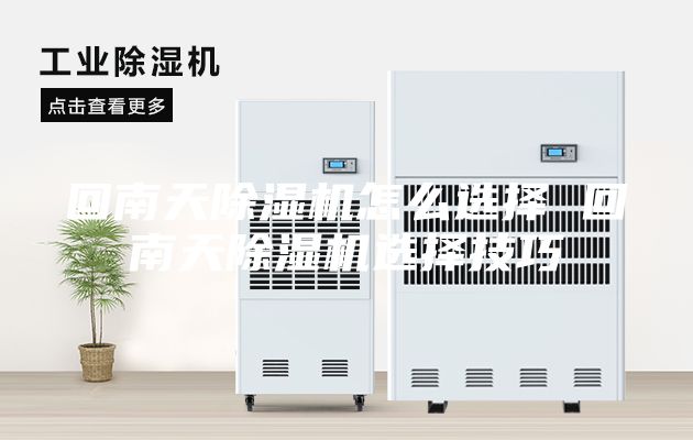 回南天除湿机怎么选择 回南天除湿机选择技巧