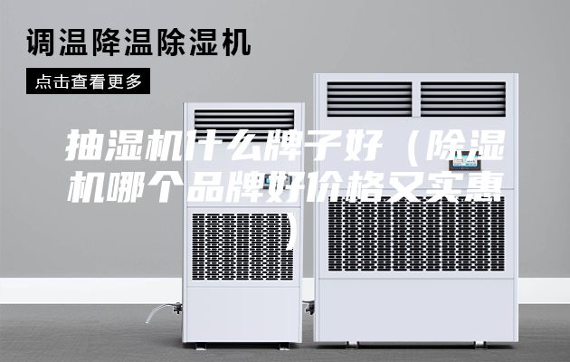 抽湿机什么牌子好（除湿机哪个品牌好价格又实惠）