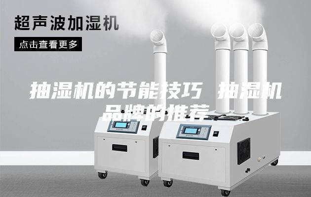 抽湿机的节能技巧 抽湿机品牌的推荐